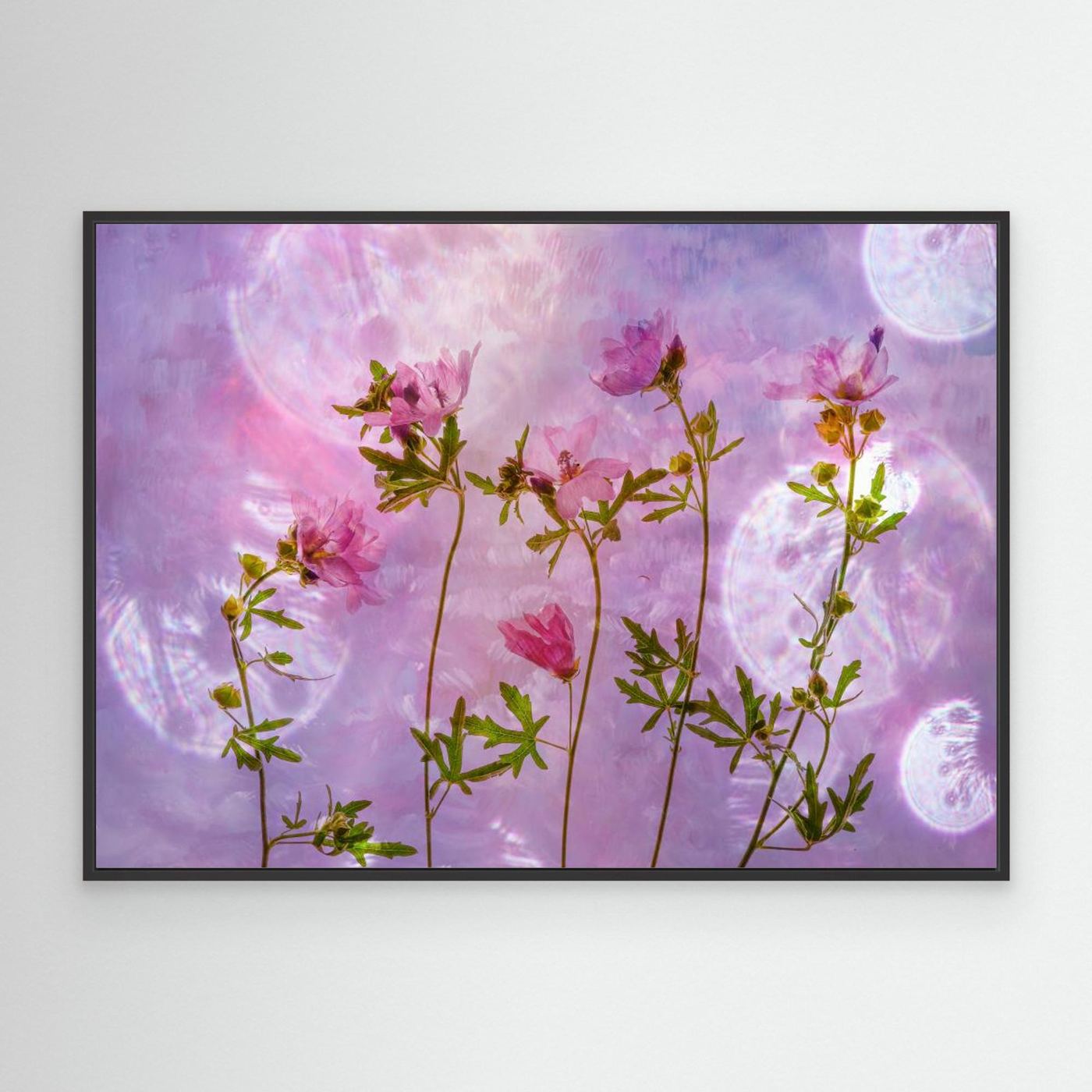 Blush Bloom - Canvas Print