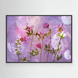 Blush Bloom - Canvas Print