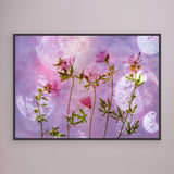 Blush Bloom - Canvas Print