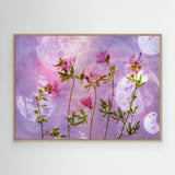 Blush Bloom - Canvas Print