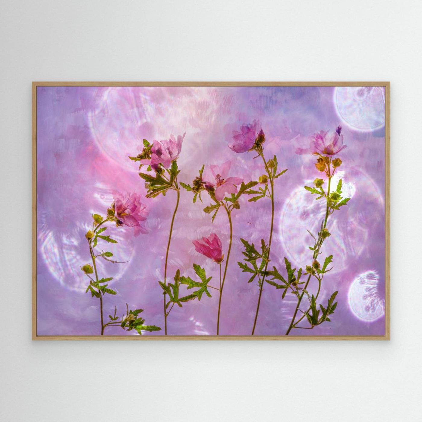 Blush Bloom - Canvas Print