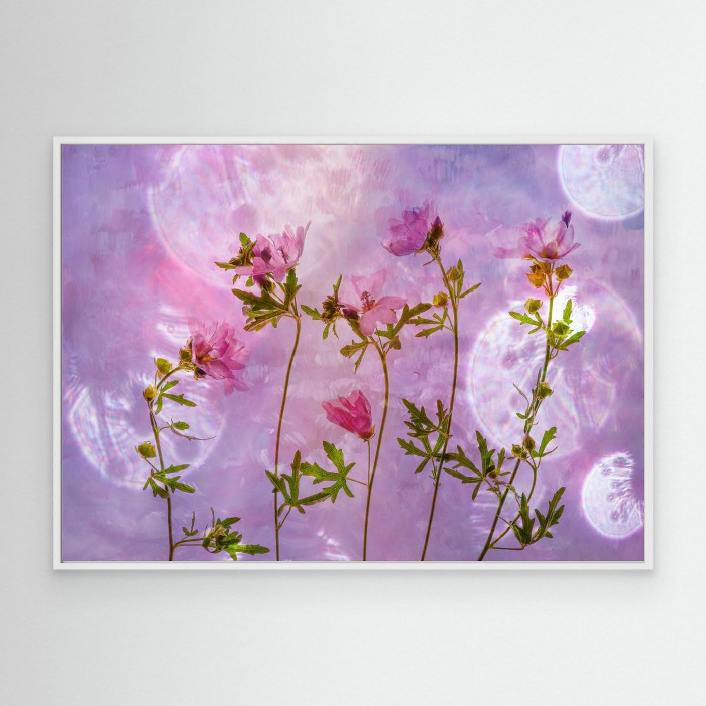 Blush Bloom - Canvas Print